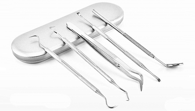 6-Piece Stainless Steel Dental Tool Kit