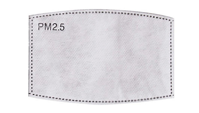 10, 30 or 50-Pack of Replacement PM 2.5 Face Cover Filters