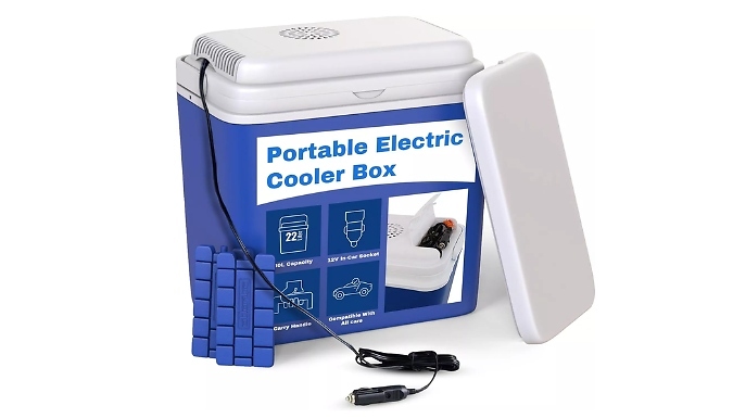 22L Electric Cooler Box with 2 Ice Packs!