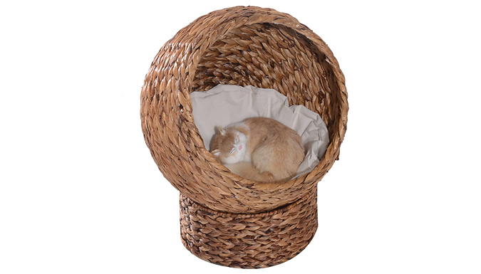 PawHut Banana-Leaf Egg Chair for Cats