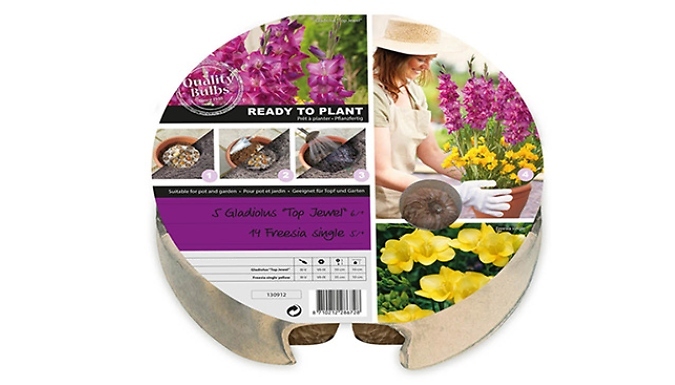 19 Bulb Gladiolus & Freesia Drop-In Bulb Pack