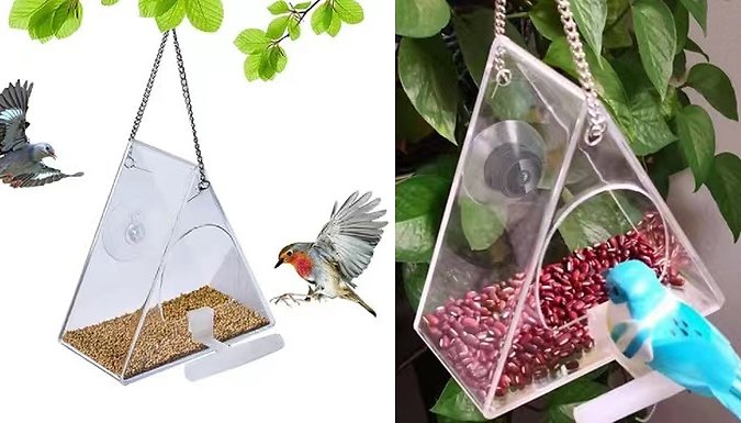 Triangle Transparent Bird Feeder Waterproof Hanging Birds Food