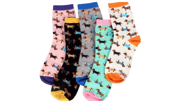 5 Pairs of Sausage Dog Socks