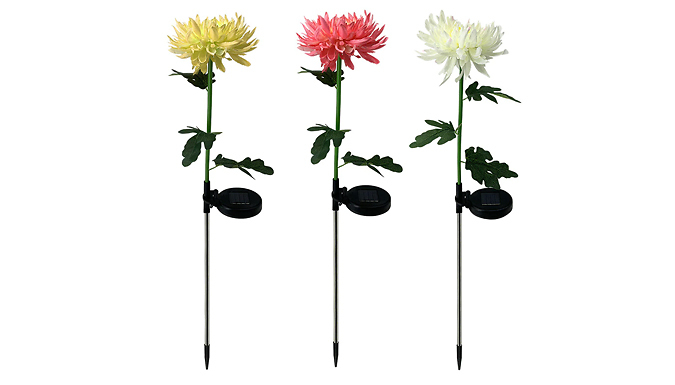 LED Chrysanthemum Solar Garden Stake Light - 3 Colours