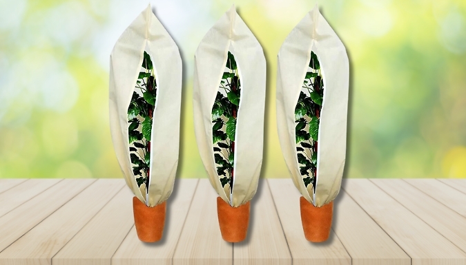 Plant Cover Freeze Protection - 4 Sizes at Go Groopie