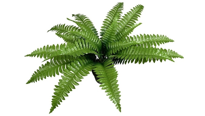 Outdoor Artificial Boston Ferns - 1 or 2 Pack