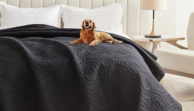 Go Groopie Prime Supply Water Resistant Moisture-Proof Dog Blanket - 4 Colours & 6 Sizes