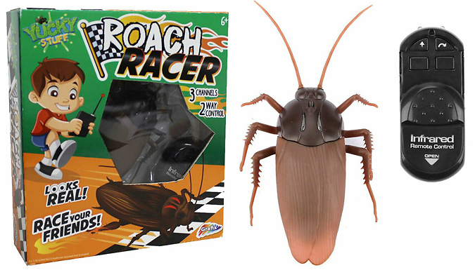 Roach Racer Remote Control Toy