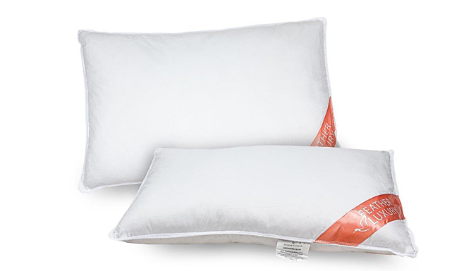 2-Pack of Deluxe Duck Feather Pillows