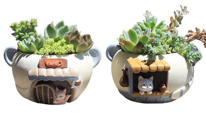 Cute Cartoon Mini Flower Pot - 2 Designs!