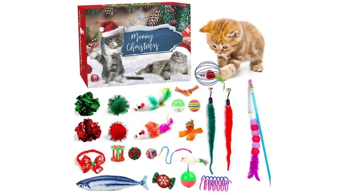 Cat Toy Christmas Advent Calendar