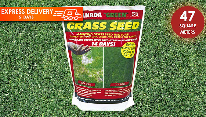 Canada Green Grass Seed - 1kg