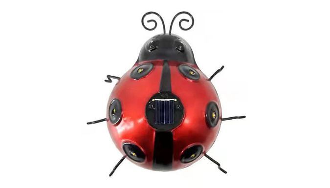 Ladybug Garden Solar Light - 3 Colours