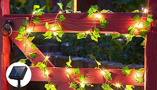 Solar Maple Leaf Fairy Lights - 50 or 100-LED