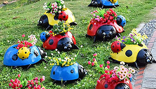 Ladybug Novelty Garden Plant Pot - 3 Colours