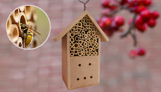 Bamboo Stick Insect House For Bees