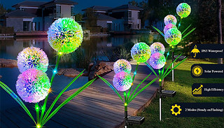 1 or 2 Solar Dandelion Lights - 3 Colours & 2 Sizes 