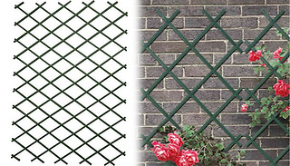Expanding Plant Climbing Garden Wall Trellis