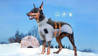 Weatherproof Winter Dog Coat with Reflective Strip - 4 Colours, 6 Size ...