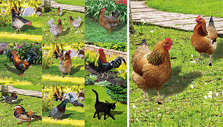 Lifelike Farm Bird Lawn Ornament - 9 Options