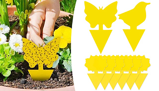 12-Pack Fruit Fly Sticky Traps - 3 Designs