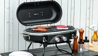 Portable Gas Barbecue with Thermometer and Sealable Lid
