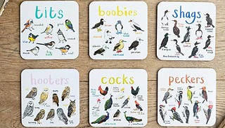 6-Pack Bird Pun Coasters