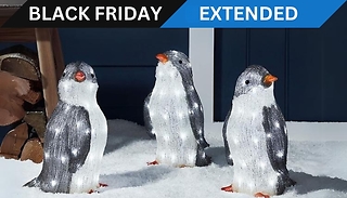 Christmas Penguin Acrylic LED Lights - 3 Styles