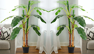 Artificial Banana Tree in Black Planter