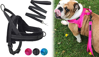 Plush Padded Dog Harness & Leash Set - 3 Colours & 4 Sizes
