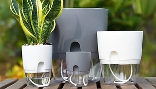 1, 2 or 4-Pack Self Watering Plant Pots - 2 Colours & 4 Sizes