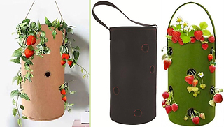 Hanging Planter Grow Bag - 1, 2, or 4-Pack & 3 Colours