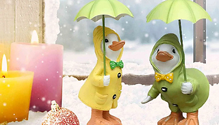 Rain Duck Garden Ornament - 2 Colours
