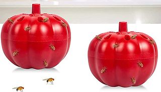 2 or 4 Pumpkin Insect-Alluring Fly Traps