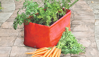 2 Garden Carrot Planter Boxes