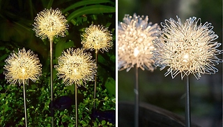 Solar-Powered Dandelion Garden Lights - 2 Colours!