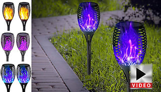 2, 4 or 8 Solar LED Flickering Flame Torch Lights – 4 Colours
