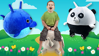 Kid's Inflatable Bounce Balls - 3 Designs