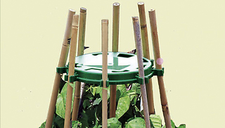Plant Cane Support Ring