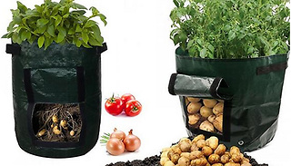 1 or 2-Pack of Vegetable Grow Bag with Window - 7 or 10 Gallon