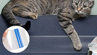 Cat Anti Scratch Transparent Tape - 2 Sizes
