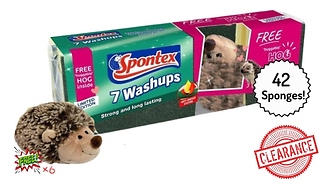 CLEARANCE: 42-Pack of Sponges - Plus 6 FREE Hedgehog Teddies!