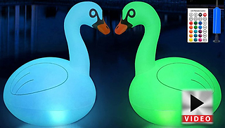 Solar Powered Light-Up Pool Inflatable Swan