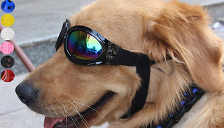 Pet Adjustable Goggle Sunglasses - 6 Colours