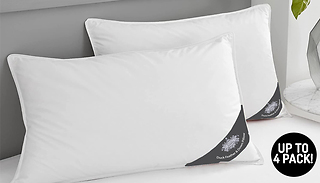 1, 2, or 4 Extra Soft Duck Feather Pillows