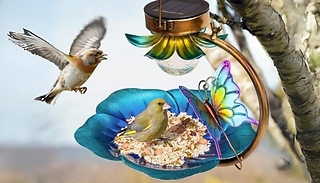 Pretty Hanging Bird Feeder with Solar Lamp