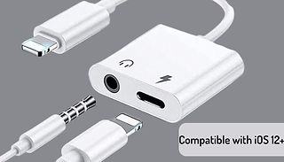 2-in-1 Adaptor for iPhone 