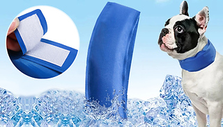 Adjustable Pet Cooling Collar - 4 Sizes
