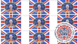 8, 16, or 24 King Coronation Printed Bunting Flags
