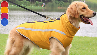 Wind & Waterproof Winter Dog Coat - 5 Sizes & 4 Colours